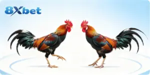 Thuật Ngữ Đá Gà Phổ Biến Cho Người Hâm Mộ Trận Đấu Kê
