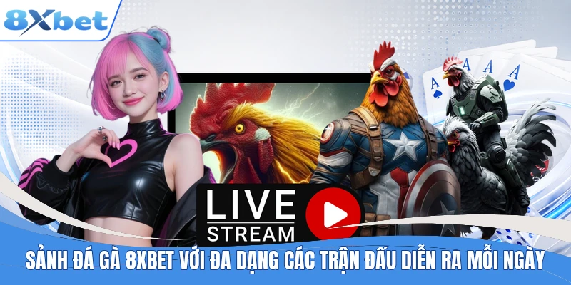 Sảnh đá gà 8XBET với đa dạng các trận đấu diễn ra mỗi ngày